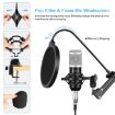 PULUZ Studio Broadcast Singing Microphone Kit - Silver - 3
