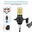 PULUZ Condenser Microphone Studio Broadcast Professional Singing Mic - 2