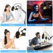 PULUZ Condenser Microphone Studio Broadcast Professional Singing Mic - 5