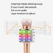 WS-858L LED Wireless Capacitance Microphone - Gold - 5