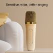 Havit P1 Portable Wireless Bluetooth Speaker Microphone Set - 4