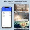 Zigbee 4CH Smart Switch Module for Alexa/Google Home/Tuya App - 7