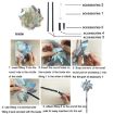 Balcony Garden Anti-Bird Laser Windmill Reflector, Style: Eight - 6