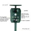 Solar Powered Ultrasonic Outdoor Animal and Mouse Repeller - 4