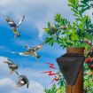 Solar Bird Repeller for Orchards and Fish Ponds - N911Q (Black) - 8