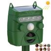 Solar Ultrasonic Outdoor Animal and Bird Repeller, Mouse Deterrent - 1