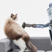 Dyson Vacuum Pet Brush Suction Head for V7 V8 V10 V11 V15 Slim - 4