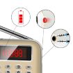 Y-619 FM/AM Mini Radio MP3 Player with LED Display, TF/SD Support - 5