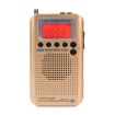 HRD-737 Gold Portable Aircraft Band Radio Wide Frequency Receiver - 1