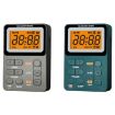 SH-01M Mini Portable Two-Channel Radio, US Version (Silver Gray) - 2
