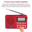 HABONG KK-170 Portable 21 Band Radio, USB/TF/MP3 Music Player - 7