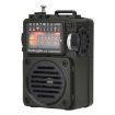 HanRongda HRD-700 Full Band Bluetooth MP3 Radio (Green) - 2