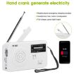 Solar Powered RD-638T AM/FM Radio Flashlight with Dynamo (White) - 4