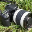 Lightdow 500mm F6.3 Ultra-Telephoto Manual Lens for Bird Photography - 7