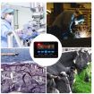 XH-W1411 Intelligent Digital Temperature Controller - 6