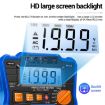 ANENG MH10 High Precision Digital Insulation Resistance Tester - 4