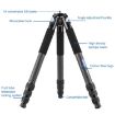 BEXIN RC334 Carbon Fiber Tripod with K44 Panoramic BallHead - 2