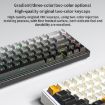 AULA F65 Mechanical Keyboard: 67 Keys, RGB, 3 Modes, Grey-Purple Axis - 5