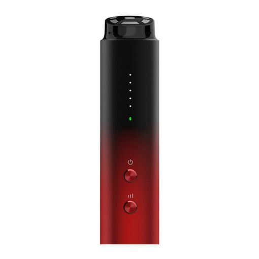 L3007 RF Beauty Instrument - Microcurrent Photon Skin Rejuvenation - 1