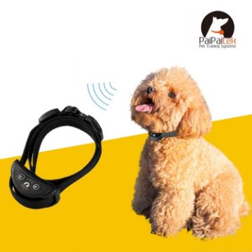 PD258 Automatic Anti Barking Collar, Pet Training, S Size (Black) - 1