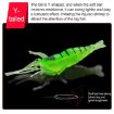 10 PCS 4cm Transparent Fishing Soft Shrimp Bait Lures with Hook - 4