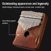 Aurora Blue-Cat 21 Tone Acacia Wood Kalimba Thumb Piano Instrument - 3
