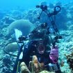 PULUZ Ball Clamp CNC Aluminum Flashlight for Diving Photography (Black) - 6