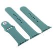 Apple Watch Series 10/9/8/7/SE Rubber Band with Pin Buckle (Cactus) - 2