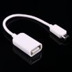 USB 2.0 AF to Micro USB 5 Pin Adapter Cable with OTG, 15cm (White) - 2