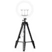 JMARY KP2208 1.7m Fill Light Camera Tripod for Photography Streaming - 1