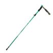 TANERDD TR-D0001 Aluminum Folding Trekking Poles (Short, Green) - 1