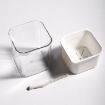 Translucent Automatic Water Absorption Hydroponic Flowerpot - 3