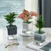 Translucent Automatic Water Absorption Hydroponic Flowerpot - 6