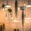E27 40W Retro Edison Vintage Filament Bulb, AC 220V (T45 Spiral) - 5