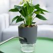 Transparent Double-Layer Water-Absorbing Flowerpot, 10.5cm Gray Basin - 2
