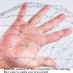 Foldable Stainless Steel Fishing Net, Solid 45cm Mesh - 3