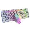ZIYOU LANG T87 White Luminous Wireless Gaming Keyboard & Mouse Set - 2