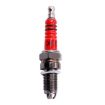 Universal Motorcycle Spark Plug D8TC 125 150 Pedal Bend Beam Car - 1