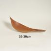 Cocoa Leaves Natural Plant Dry Flower Ornaments 35-39 cm Props - 2