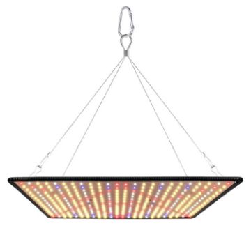 LED Quantum Board Greenhouse Light, EU Plug (Sunlight) - 1