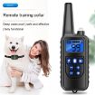 800m Remote Control Dog Trainer: Smart Anti-Disturbance Collar 3-Pack - 6