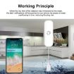 Tuya WiFi Flood Detector: Remote Water Leak Alarm Monitoring - 5