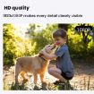 WiFi Pet Camera Collar with 64G Memory Card for Cats and Dogs - 4