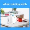 Xprinter XP-237B USB+BT Label & Receipt Thermal Printer (UK Plug) - 6