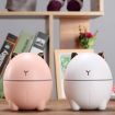 Pink Cute Cats Mini USB Portable Humidifier for Home or Office - 2