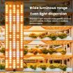 12V LED Plant Growth Light, Sunlight-Like, Model: 5V Mini USB - 3
