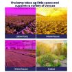 Sunlight Quantum Board LED Greenhouse Lamp, AU Plug - 6