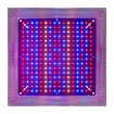 Quantum Board LED Plant Growth Lamp, Full Spectrum + Reflective Cover - 2