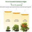 Quantum Board LED Plant Growth Lamp, Full Spectrum + Reflective Cover - 5