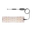 Single Head Cold Light LED Quantum Board Plant Growth Lamp - US Plug - 1
